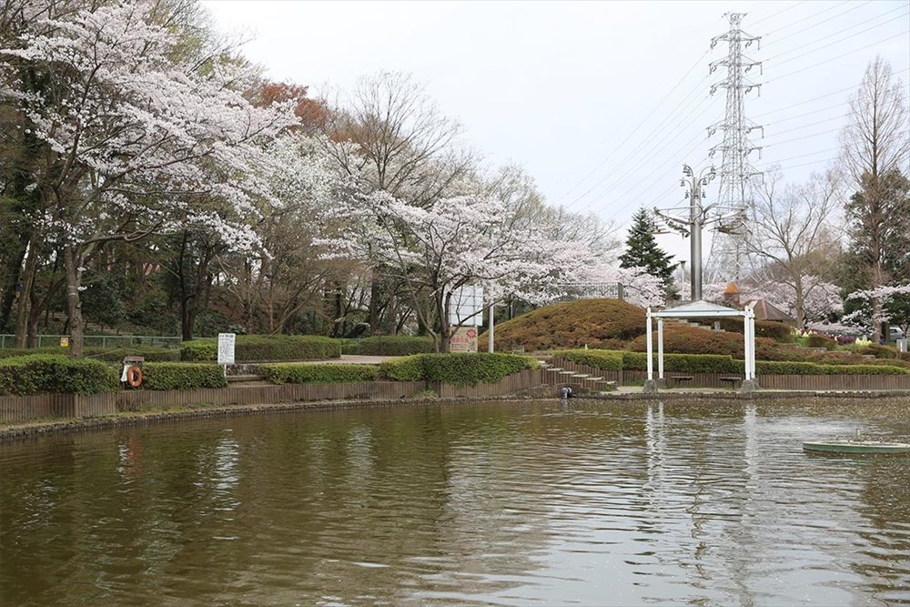 🌳 사기야마 기념공원 (사기야마 키넨코엔) 이미지 6
